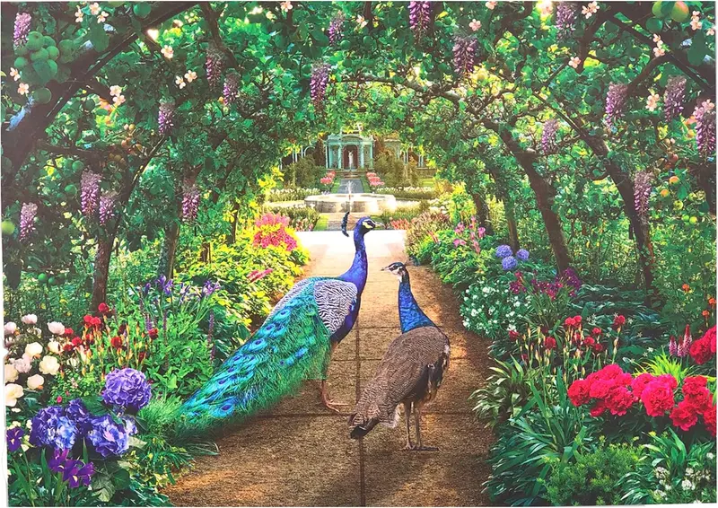 1000-Piece Jigsaw Puzzle, Peacock Pathway 1
