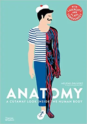 Anatomy: A Cutaway Look Inside The Human Body 1