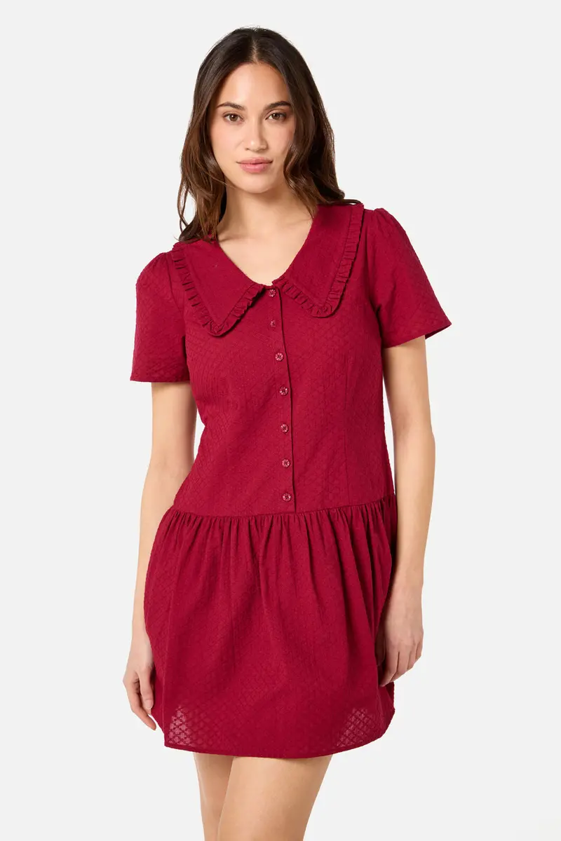 Andrea Drop Waist Mini Dress 1