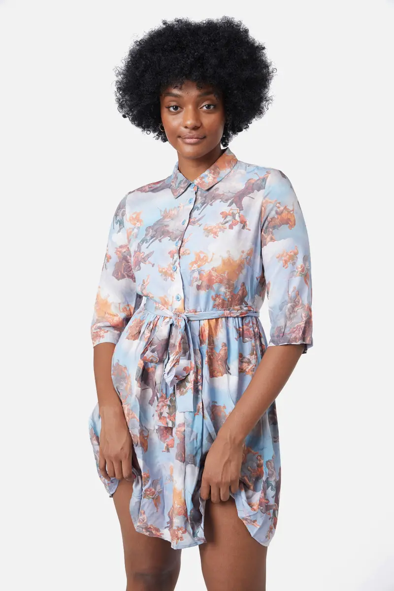 Art Mural Viscose Dress 1
