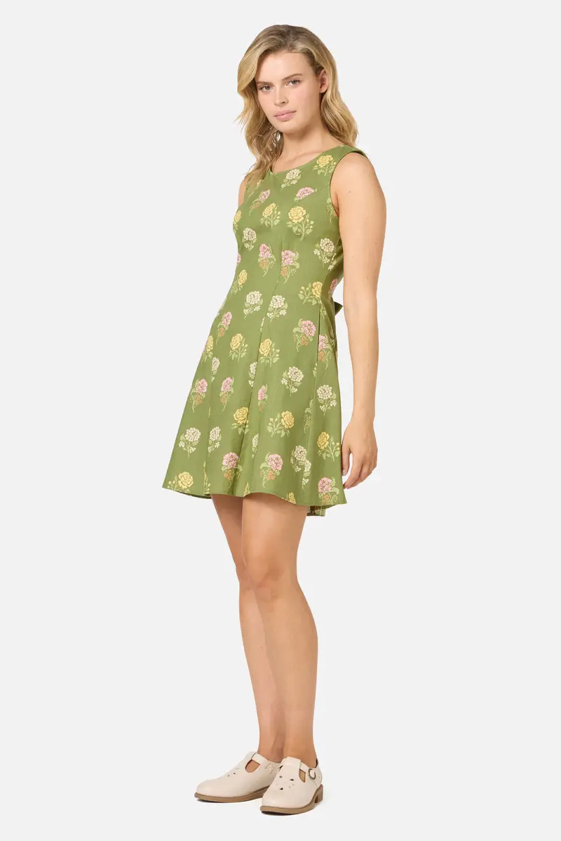 Astrid Rose Mini Dress 1
