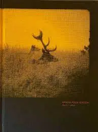 Atoosa Pour Hosseini 2011-2021 1