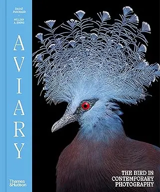 Aviary: The Bird In Contemporary Photography 1