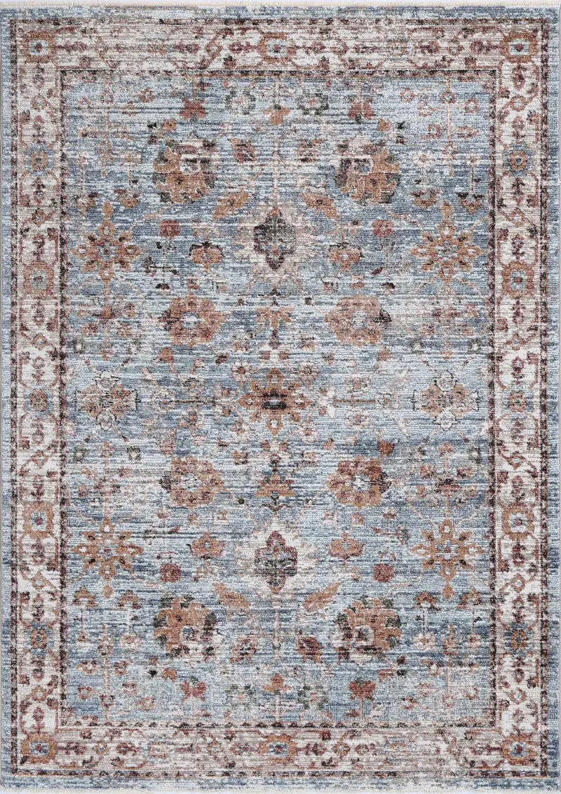 Baltimore Roanoke Transitional Blue Rug 1