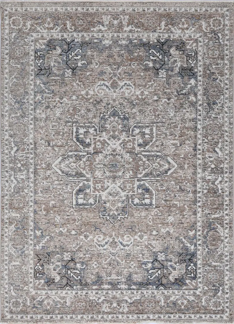 Baltimore Virginia Medallion Transitional Ash Rug 1