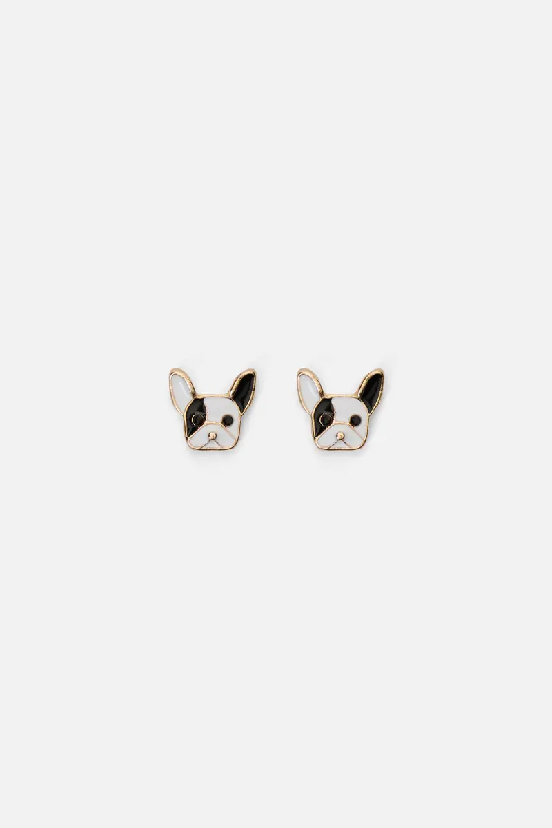 Boston Terrier Studs 1