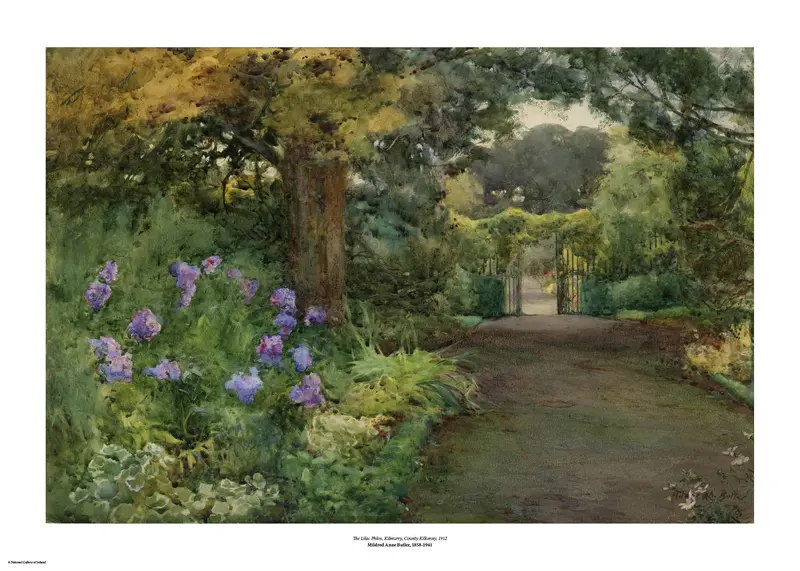 Butler, The Lilac Phlox, Kilmurry, County Kilkenny Art Print 1