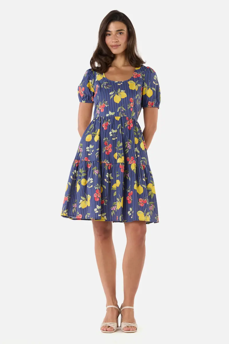 Carla Picnic Mini Dress 1