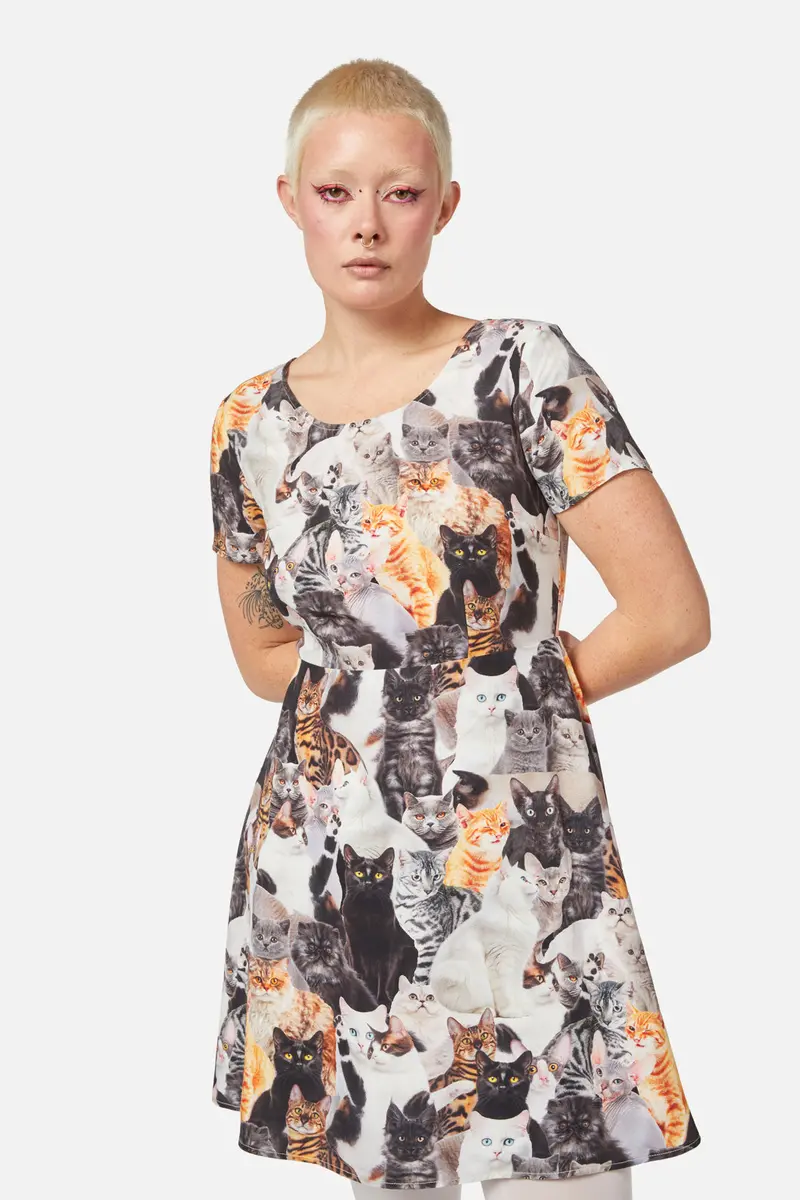 Catnip Skater Dress 1
