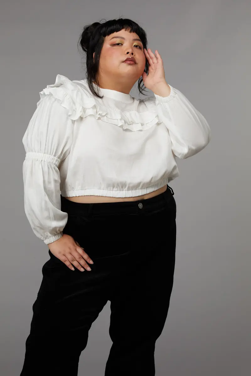 Curve Big Top Blouse 3