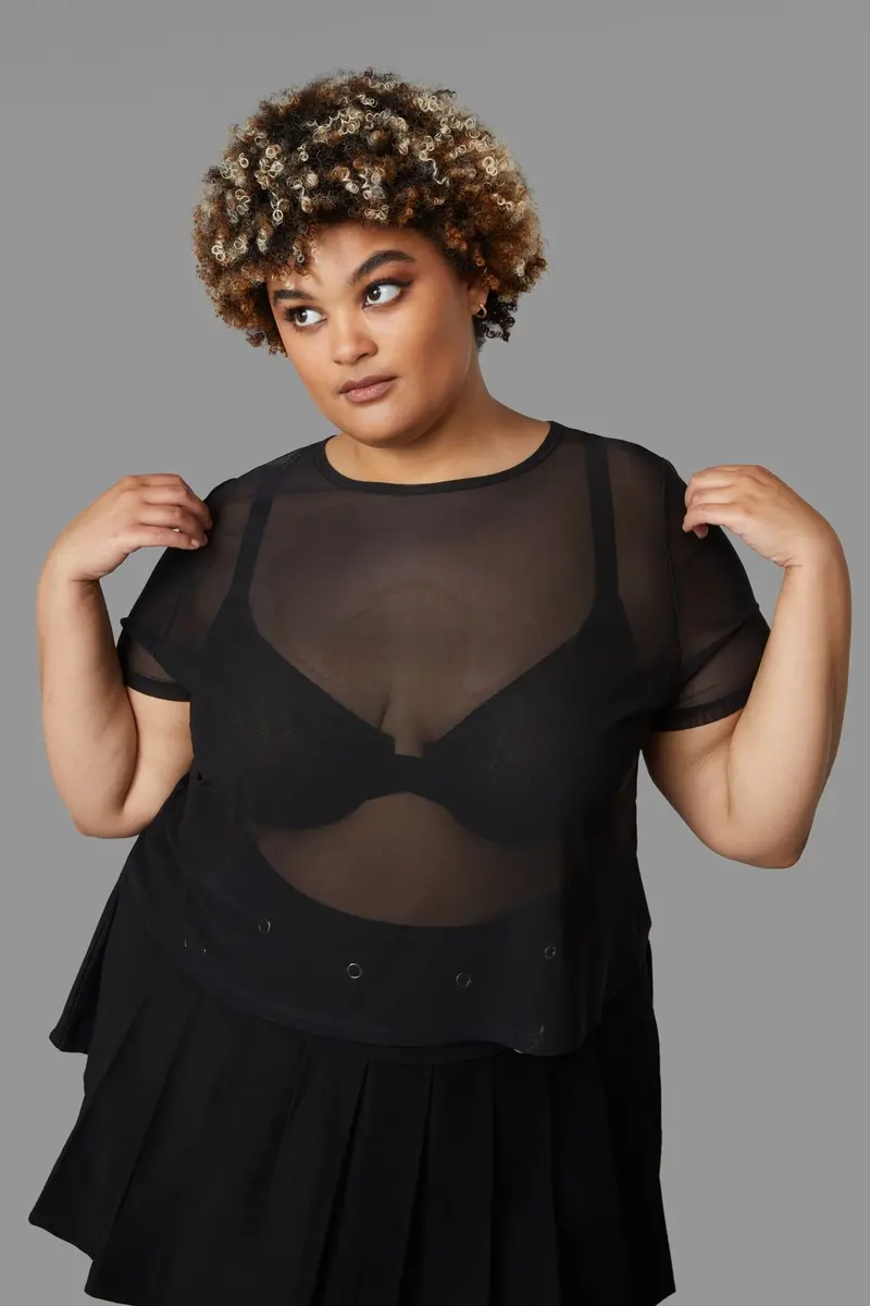 Curve Entity Mesh Top 1