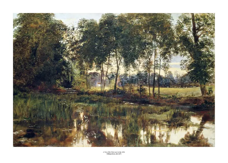 Davis, A View Of Rye Water Near Leixlip Art Print 1