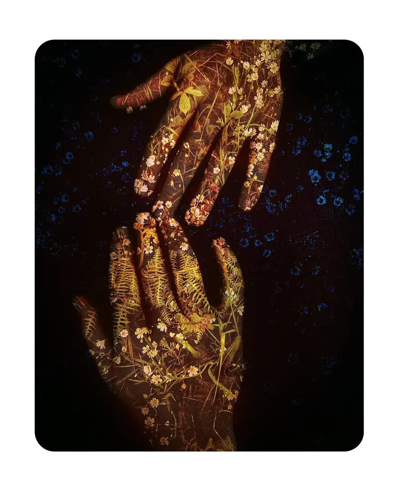 Dragana Jurišić, Daithí's Hands, 2021 1
