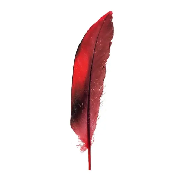 Duck Feather, 13Cm 1