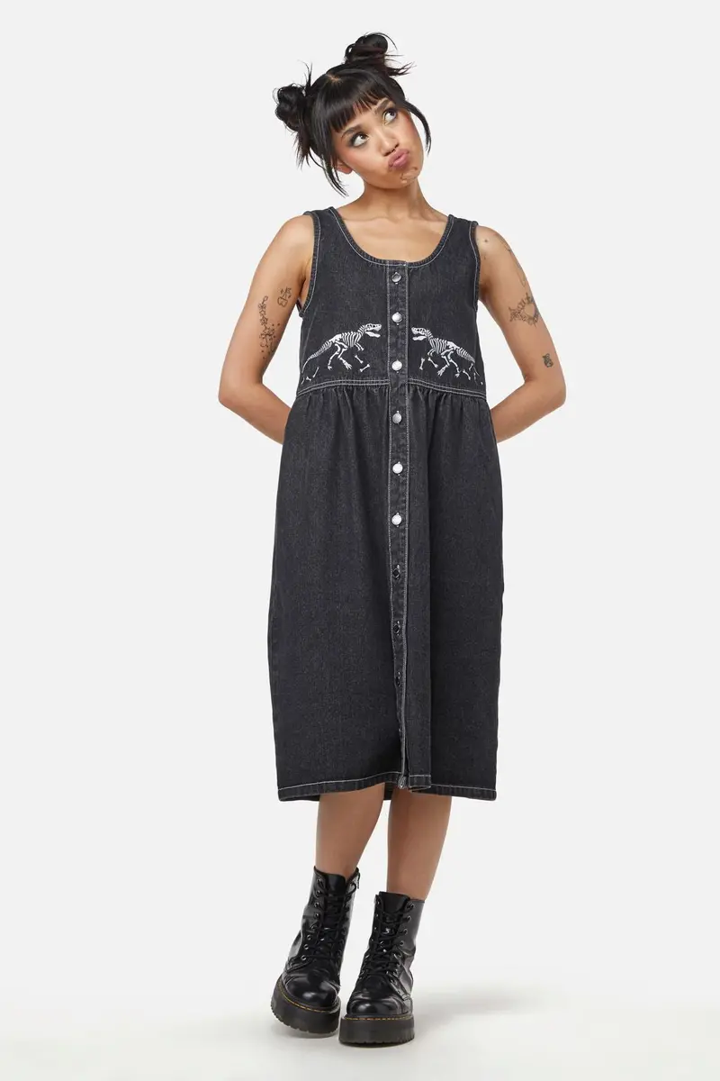 Early Jurassic Dino Pinafore 1