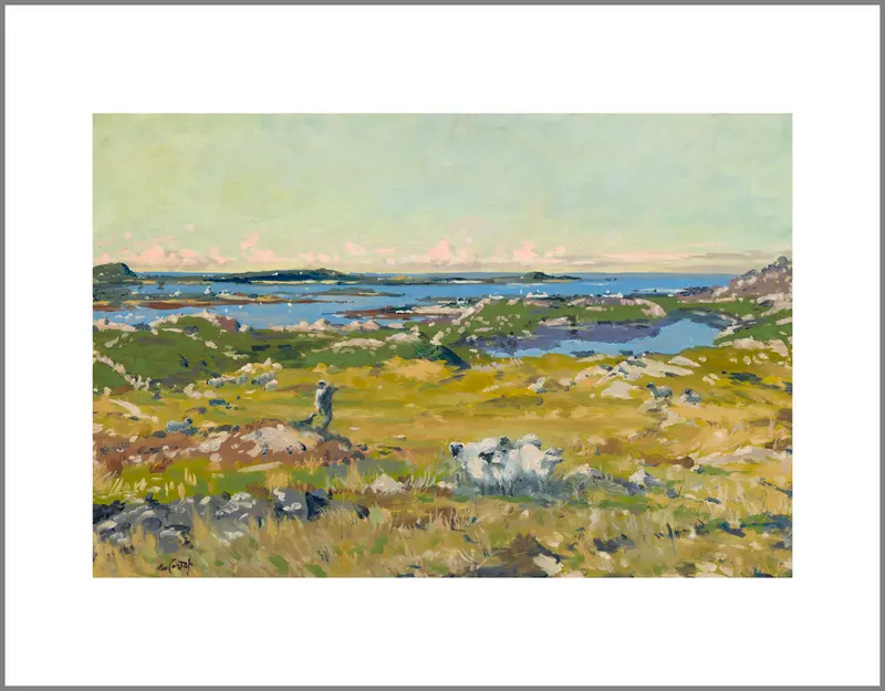 Early Morning, Connemara Canvas Print 1