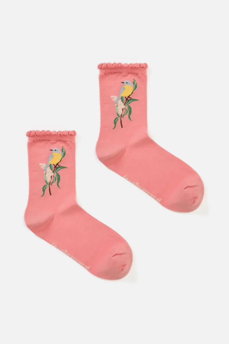 Eastern Yellow Robin Sock 1