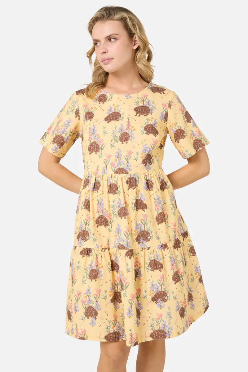 Echidna Smock Dress 1
