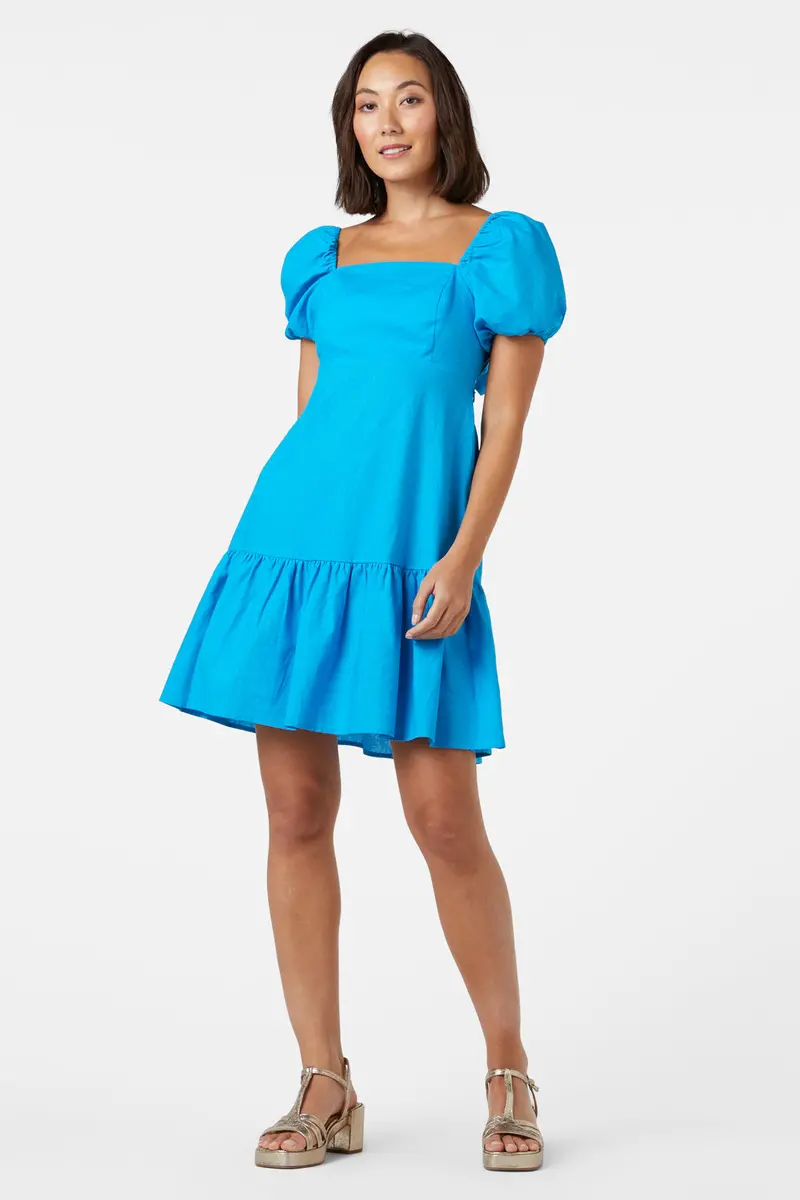 Ellie Mini Dress 1
