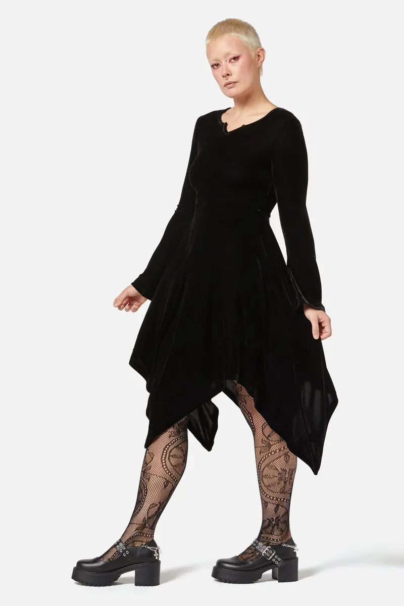 Fern Velvet Dress 1