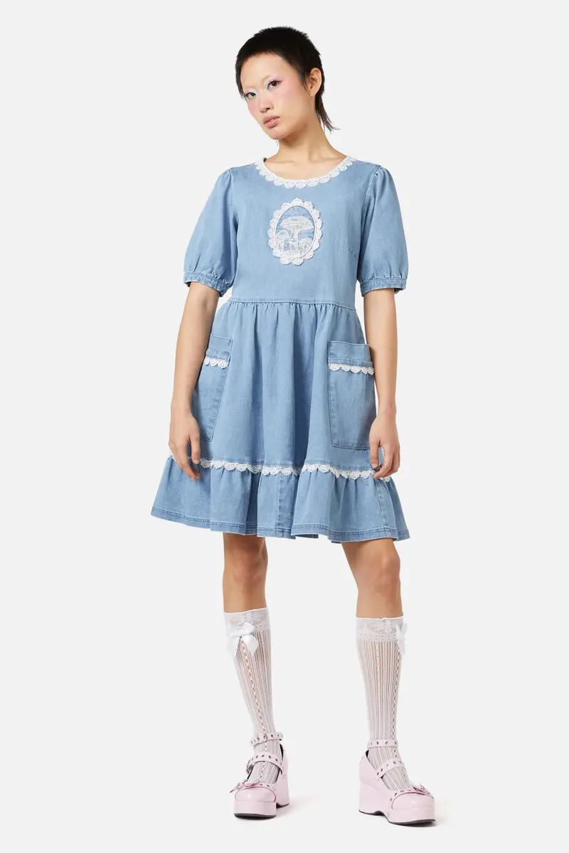 Field Shroom Denim Dress 1