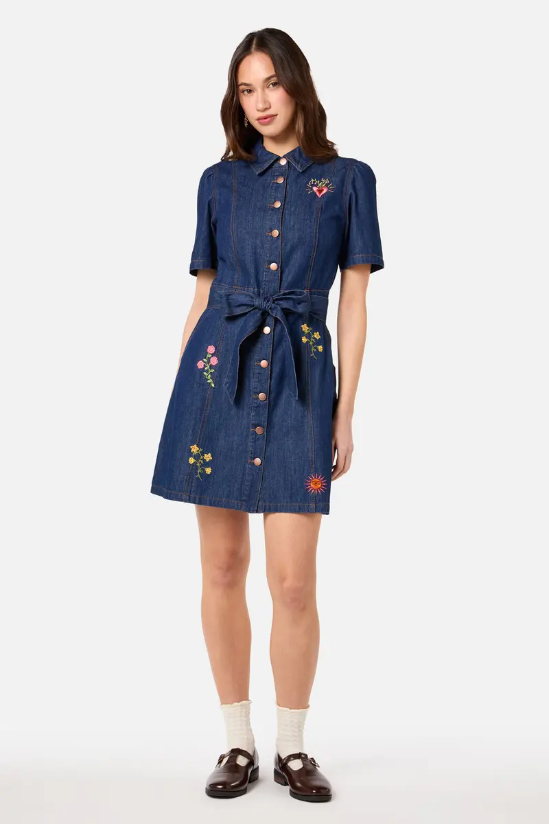 Folk Art Denim Dress 1