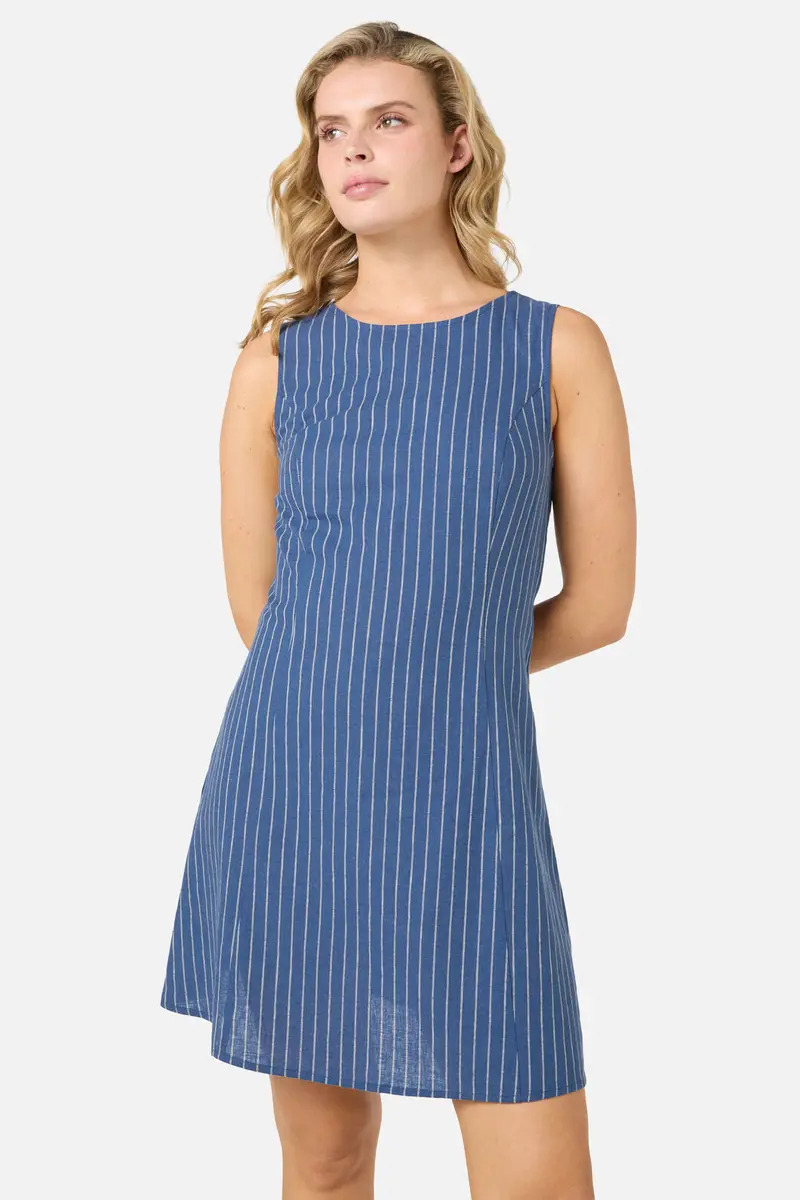 Frankie Pinstripe Shift Dress 1