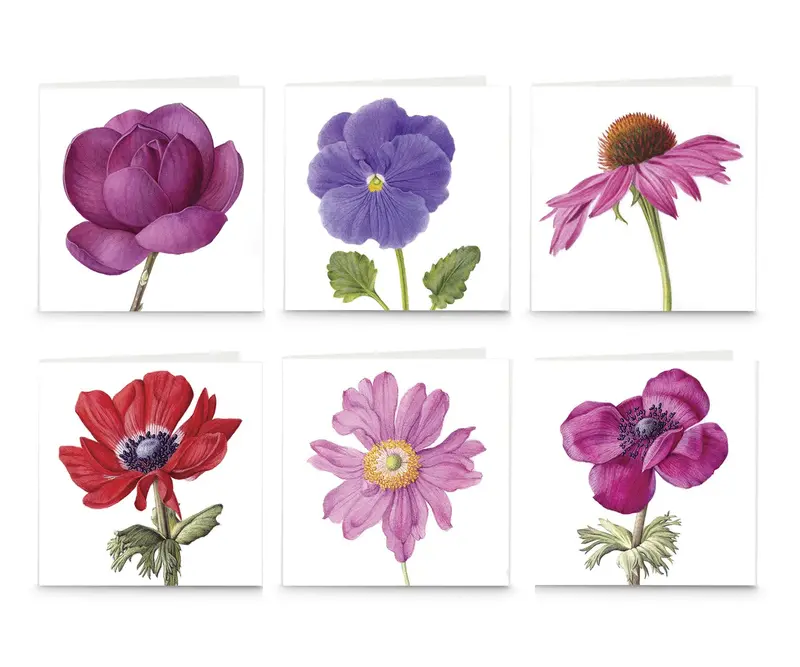 Fullbloom Greeting Cards 1