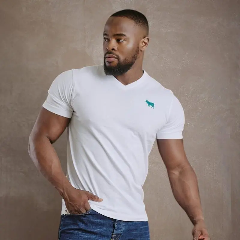 Kingsley Wool Embroidery Pop V-Neck Tee  - Pelican 1