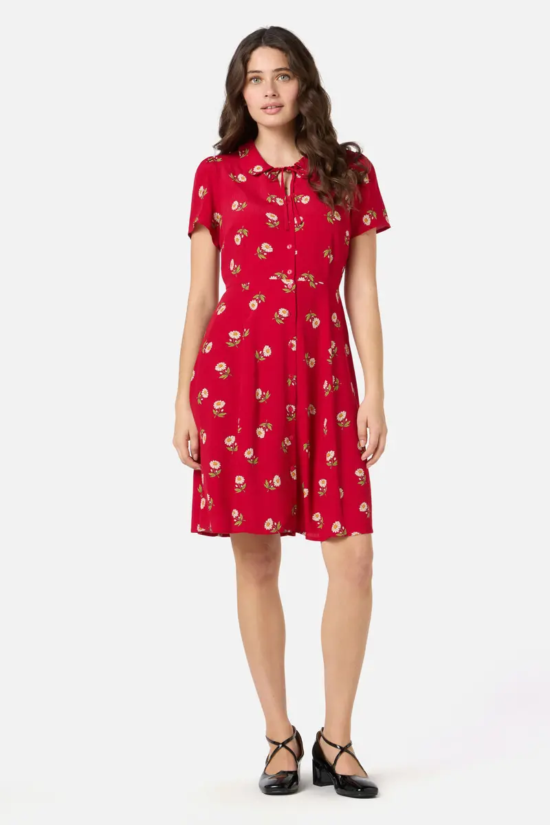 Marguerite Daisy Mini Dress 1