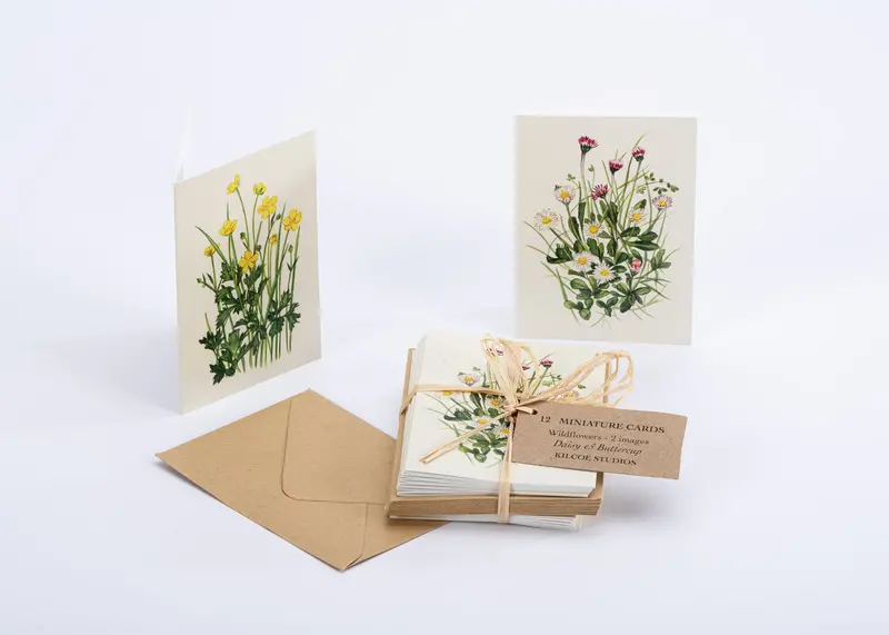 Mini Wildflower Greeting Cards - Daisy And Buttercup 1