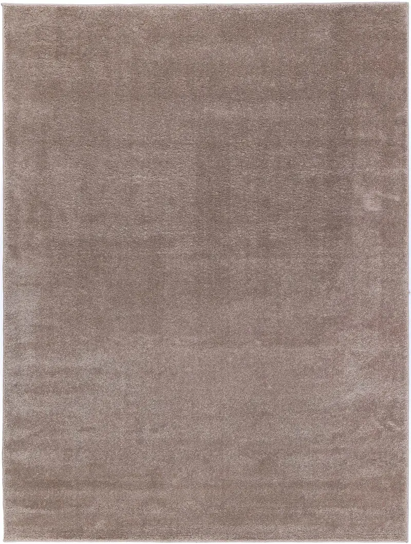 Montana Latte Plush Rug 1