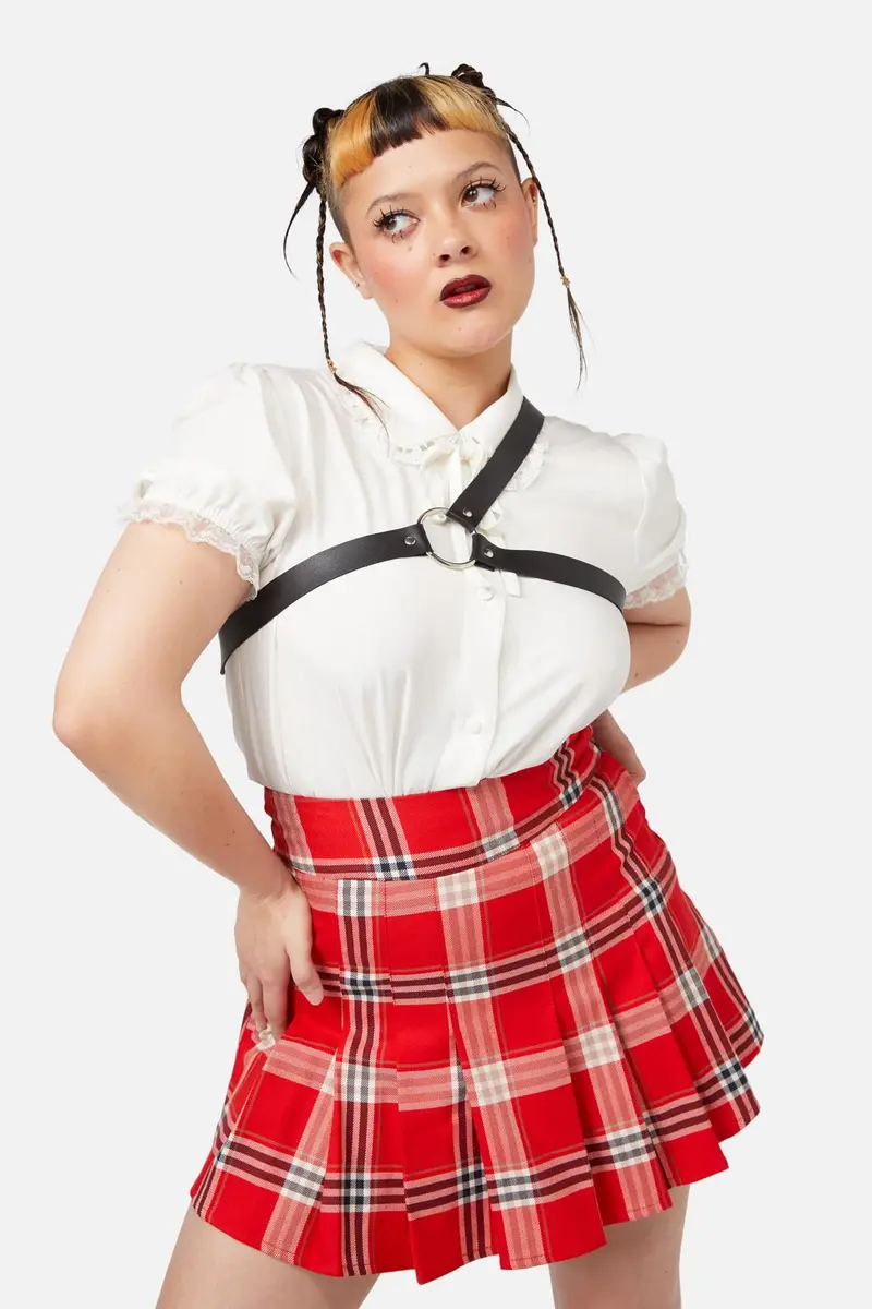 One Shoulder Harness 1