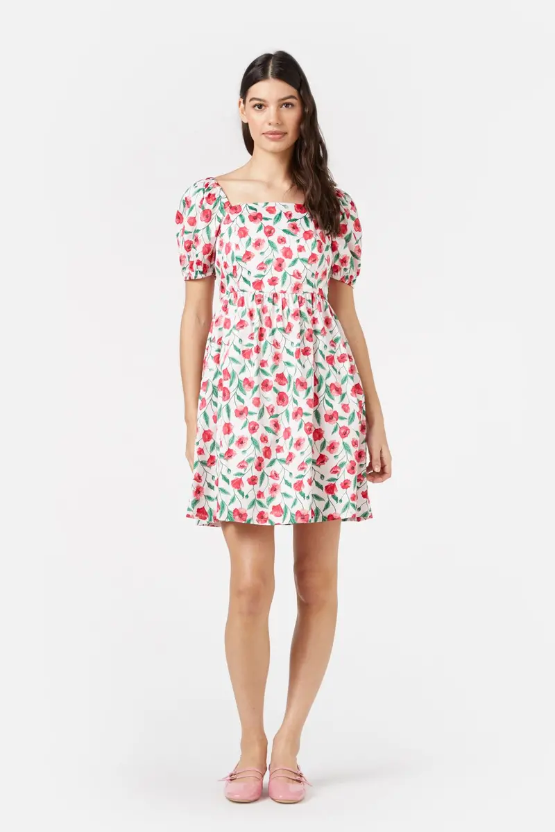 Poppy Mini Dress 1