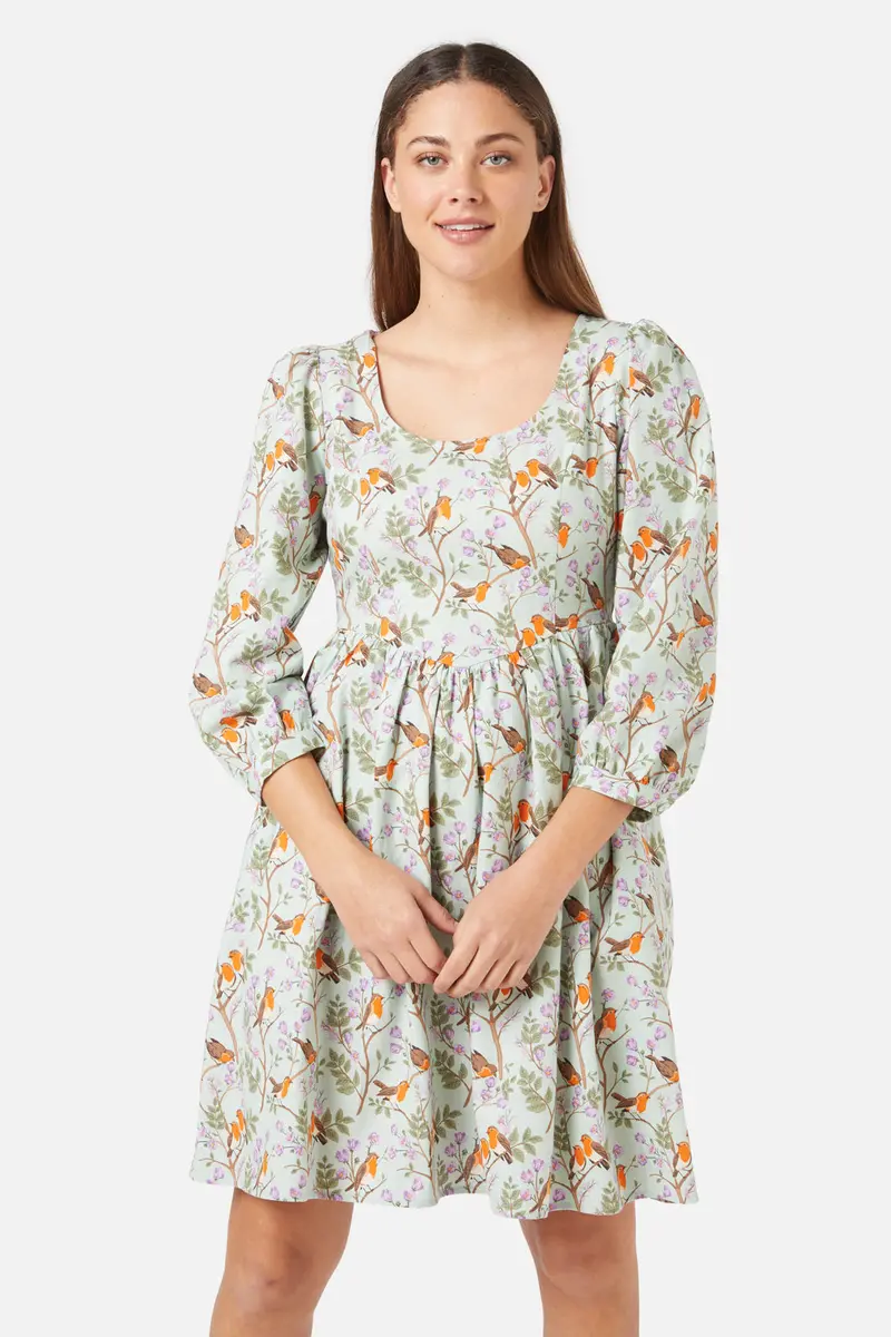 Robin Mini Dress 1