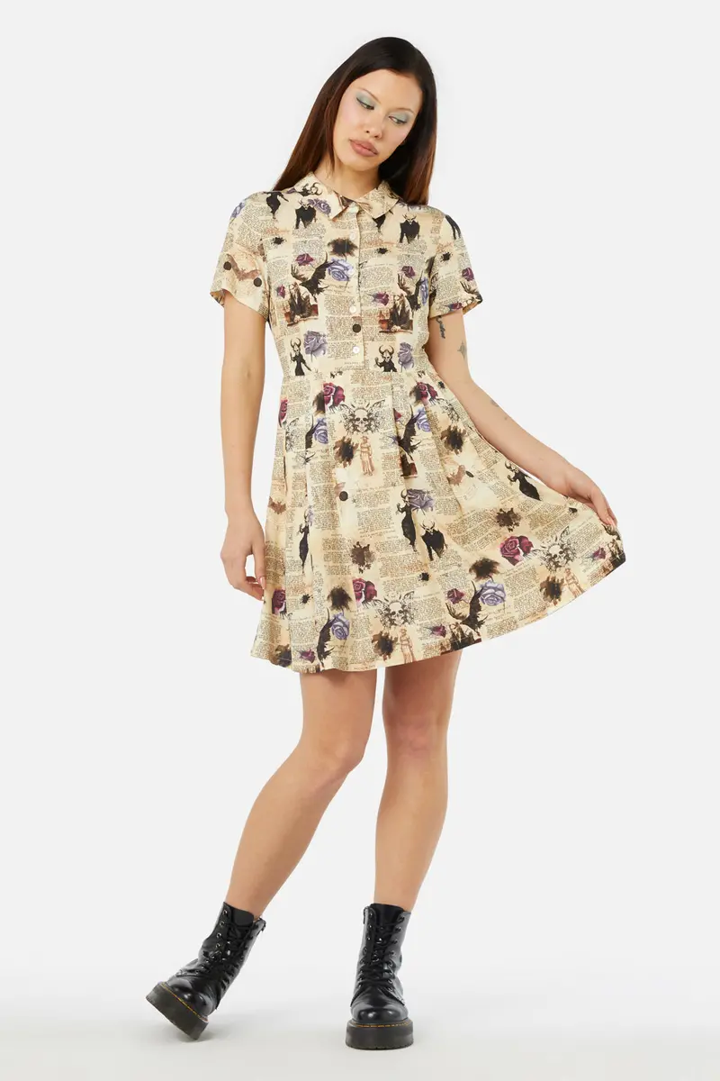 Ruled Journal Dress 1