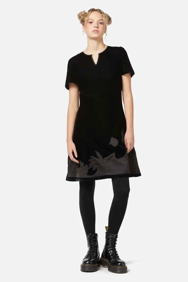 Still Life Velvet Dress 1