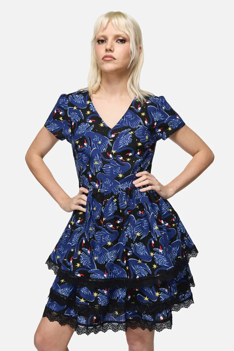 Swan Song Mini Dress 1