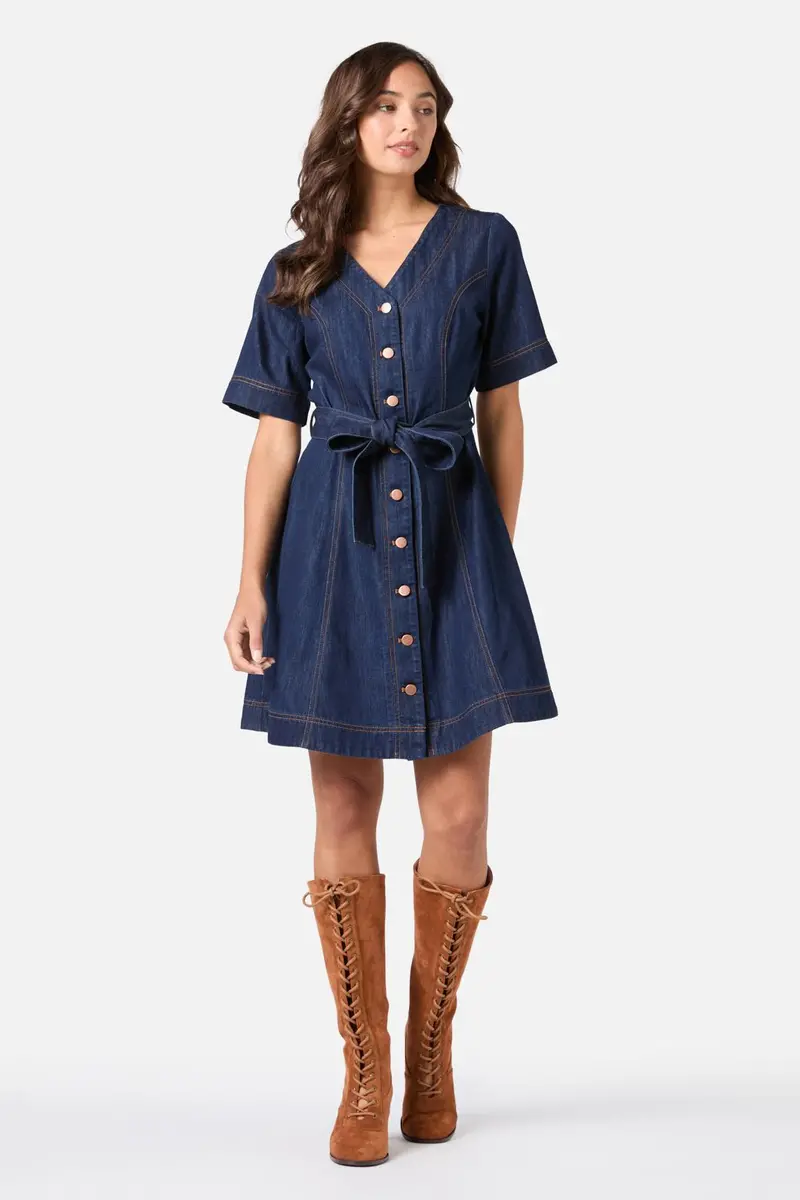 Tegan Denim Mini Dress 1