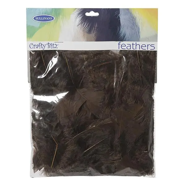 Turkey Feathers, Brown- 10G 1