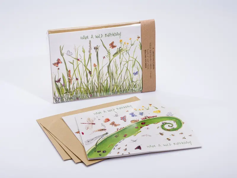Wild Birthday Cards 6 Pack Greeting Cards- Kilcoe 1